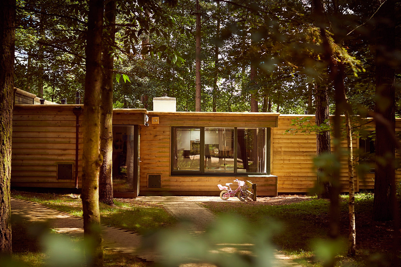 Woodland Lodge nestled in the forest