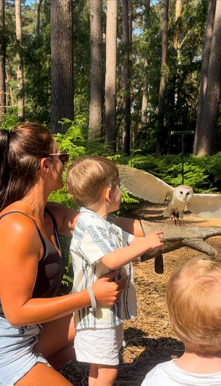 Owl lands with wings outstretched on a perch, while a woman and two small children watch closely in a sunlit forest clearing with tall trees, ferns, and woodchip ground.