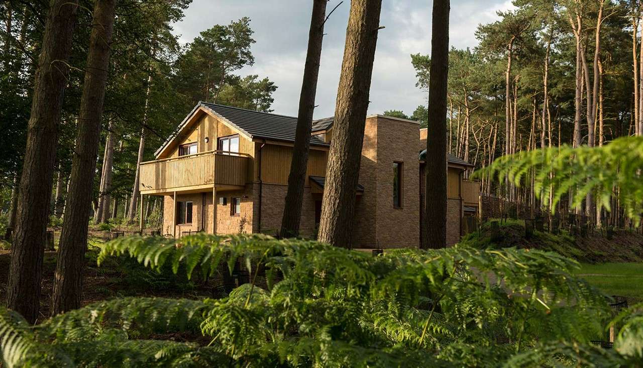 Two-story wooden-and-brick lodge with a dark gabled roof and balcony stands quietly, partially hidden by tall pine trunks and ferns, within a sunlit forest clearing.