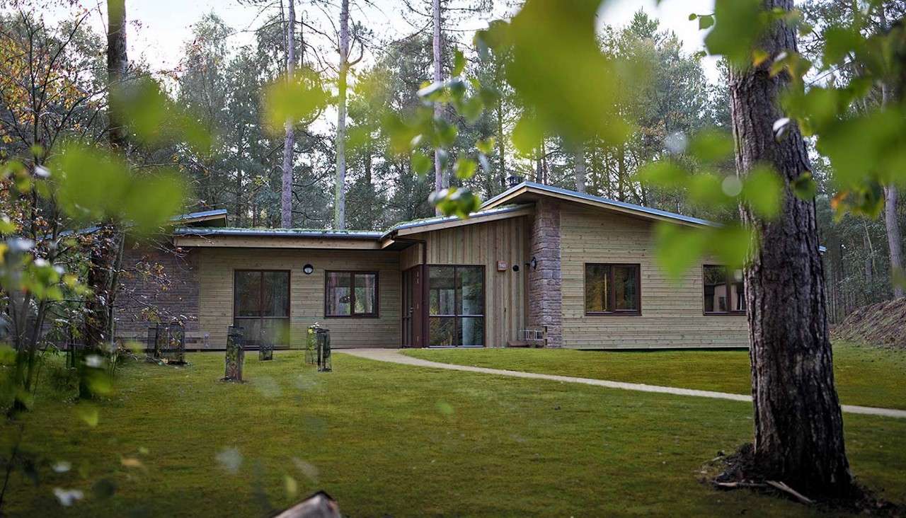 Wooden cabin sits amid tall pine trees, fronted by a tidy lawn and winding path, with large windows and low-pitched roofs blending into the forest.
