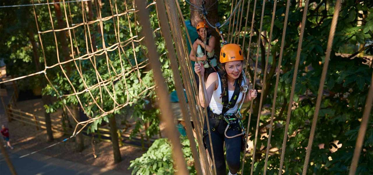 Aerial Adventure