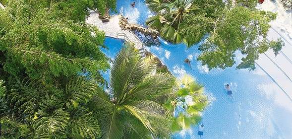 Swimming pool—people wade and float—set within a tropical resort: blue water curves around rocks and a small bridge, shaded by dense palms and trees, lounge chairs lining the edge.