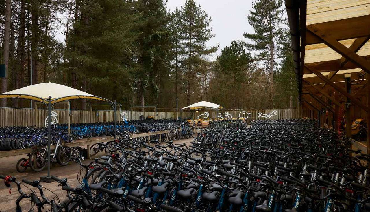 Rows of bicycles sit tightly parked in a rental yard, under canopies and a wooden shelter, surrounded by pine trees and fencing; several shelter posts are labeled: 2.