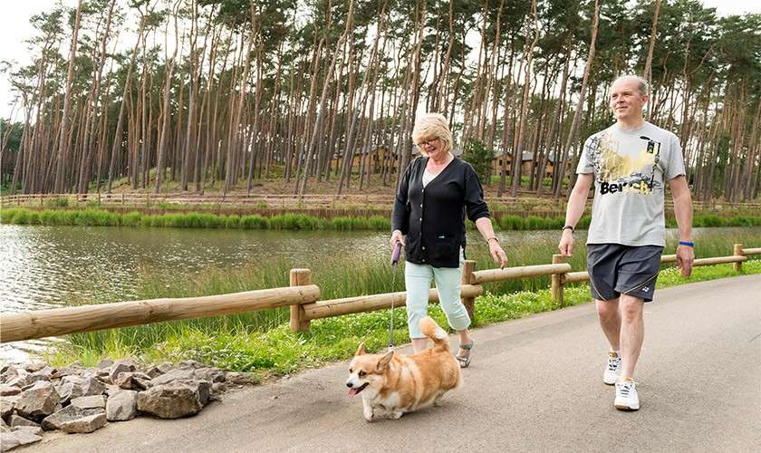 Couple walking dog through the forest.