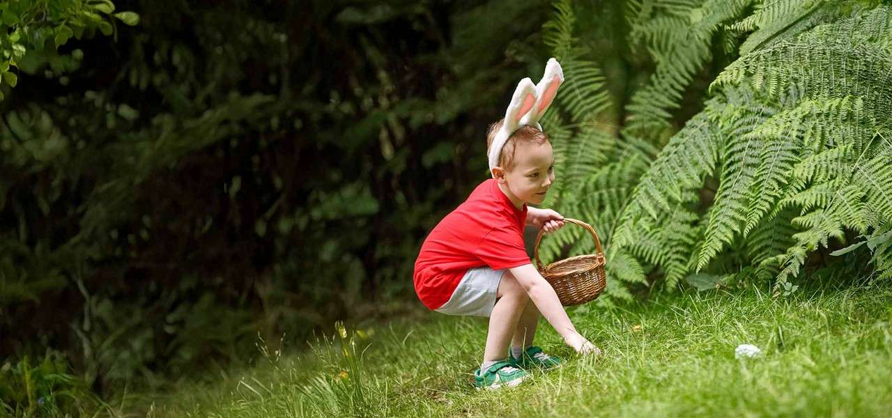 Child with bunny-ear headband crouches, holding a wicker basket, reaching toward a small white object on grass amid tall ferns in a shaded, wooded garden clearing.