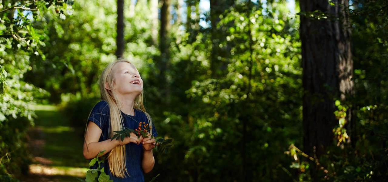 Child with long blond hair holds leafy branches with red berries, gazing upward and smiling; sunlit forest path surrounds with dense green foliage and tall tree trunks.