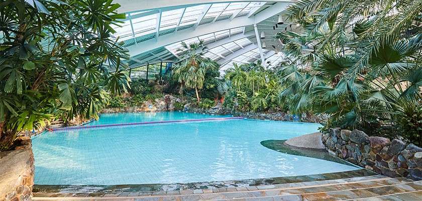 Swimming pool lies calm, reflecting skylights, as steps descend into the water, within an indoor tropical conservatory filled with palms, rocks, and lush greenery beneath an arched glass roof.