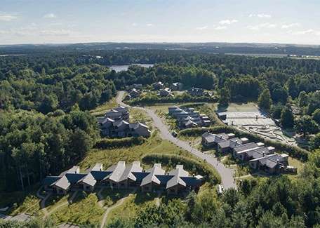 Houses cluster along winding roads, nestling among dense trees; aerial view of a forested residential area with scattered cabins, open clearings, and a distant lake under a bright sky.