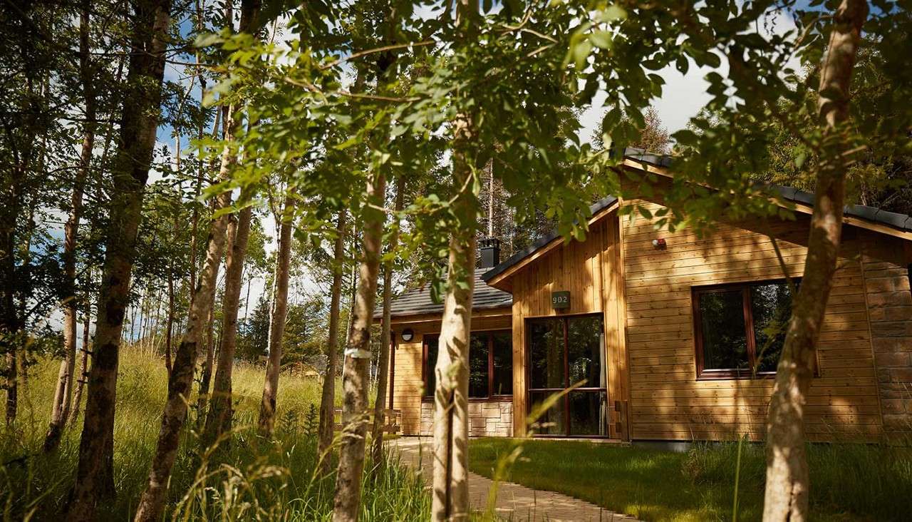 Wooden cabin sits nestled among tall trees; sunlight filters through leaves. A narrow path leads to the glass door. Sign above the entrance reads: 9D2.