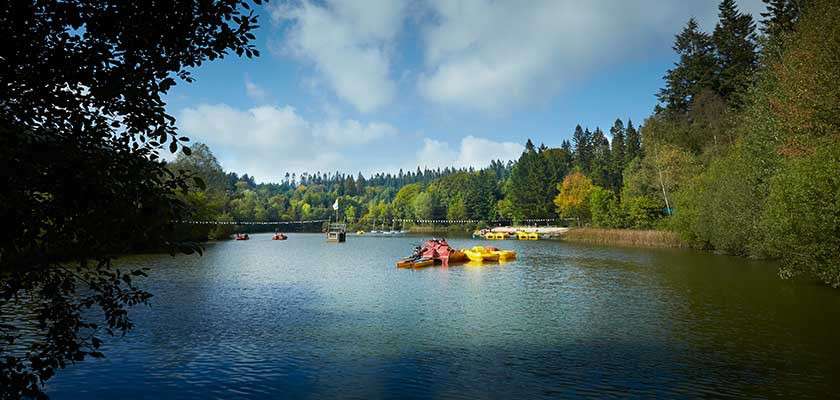 Pedal boats drift on a calm lake, some docked at a small pier, while a suspension footbridge spans the distance, surrounded by dense forest under a bright, partly cloudy sky.