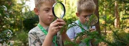 Two children hold magnifying glasses, examining evergreen leaves; sunlight filters through trees in a lush forest or garden setting.