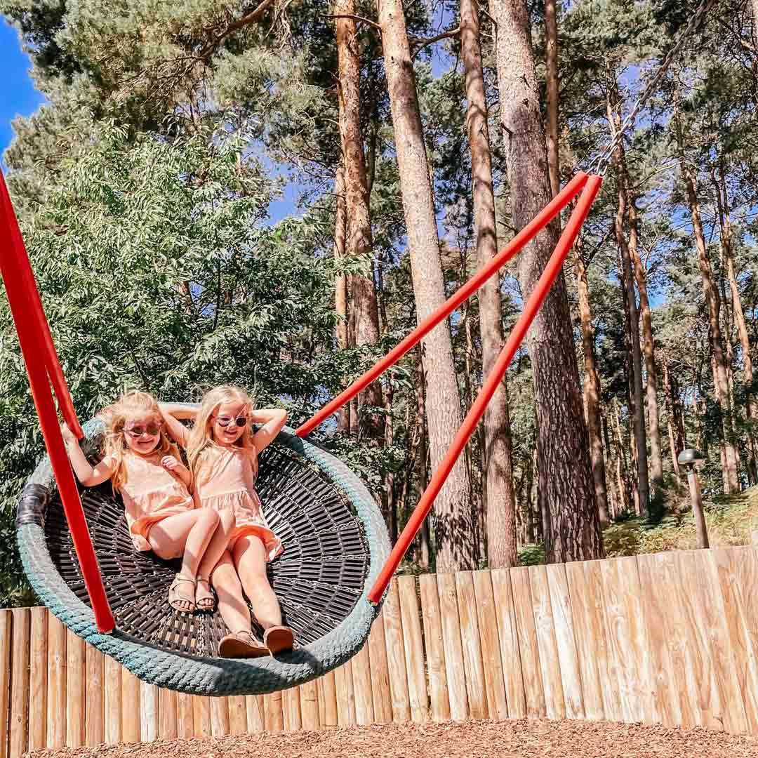 Two young girls sit and swing on a large circular rope swing, smiling and leaning back; background shows tall pine trees, blue sky, wooden fence, and bark-covered playground ground.