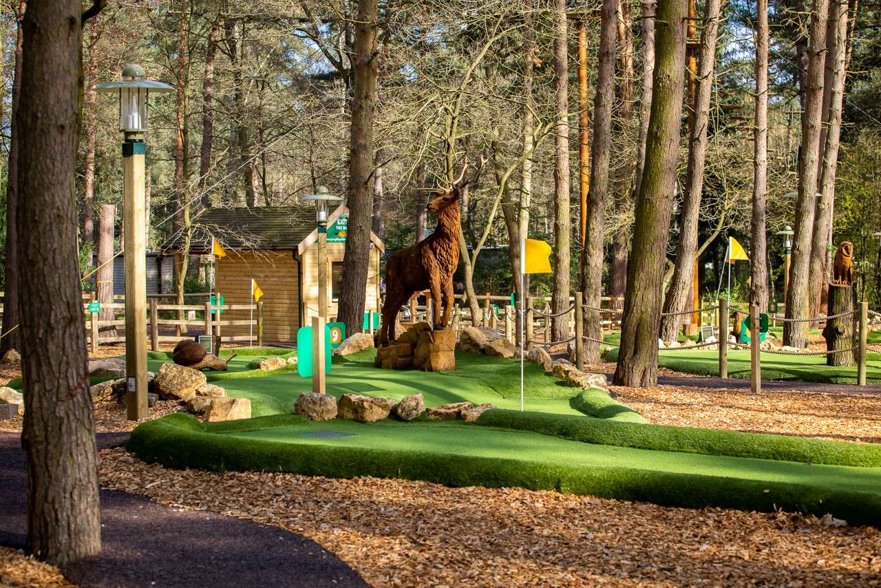 Boy on an adventure playground