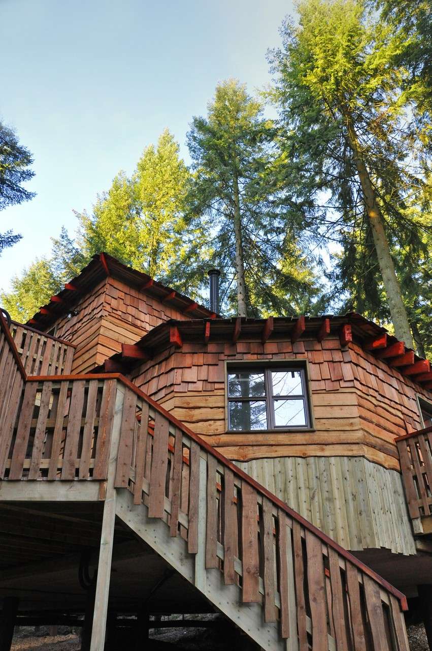 Accommodation
