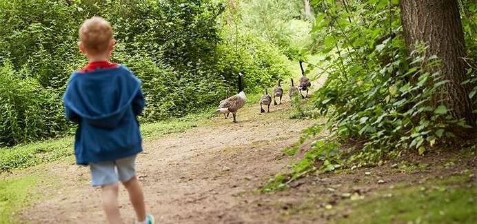 Spring half-term breaks