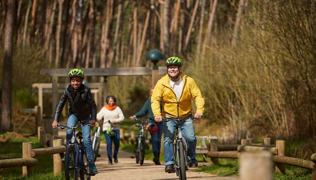 Two cyclists ride toward the camera, smiling, wearing helmets; behind them, two more people walk and push bikes. Context: sunlit forest trail with wooden rails, tall trees, and spring foliage.