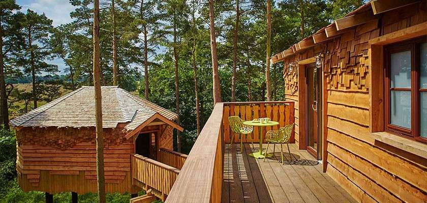 Exterior of a Treehouse lodge.