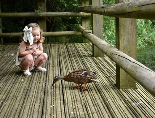 Duck pecks at scattered crumbs while walking along a wooden boardwalk; nearby, a young child with a large hair bow crouches, watching quietly amid railings and surrounding greenery.