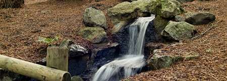 Small waterfall cascades over rocks, forming a narrow stream; forest floor carpeted with pine needles surrounds it, with a simple wooden footbridge and a cut log nearby.