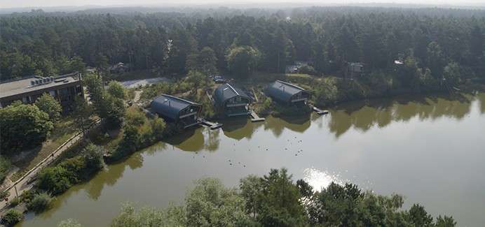 Three modern cabins rest on stilts, facing a calm lake, with small docks extending. Surrounding pine forest and a distant lodge frame the shore; sunlight glints on water with floating birds.