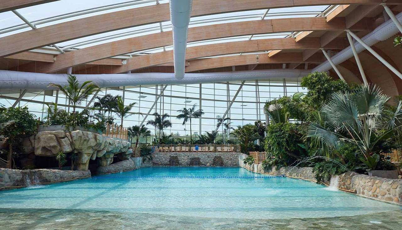 Subtropical Swimming Paradise