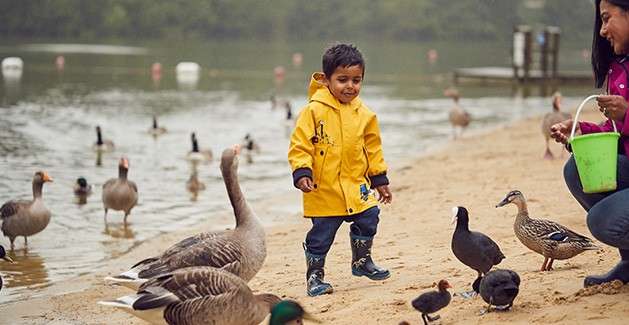 Child in yellow raincoat feeds ducks and geese, smiling and stepping on sandy lakeshore. An adult with green bucket crouches nearby; water and distant birds form a misty background.