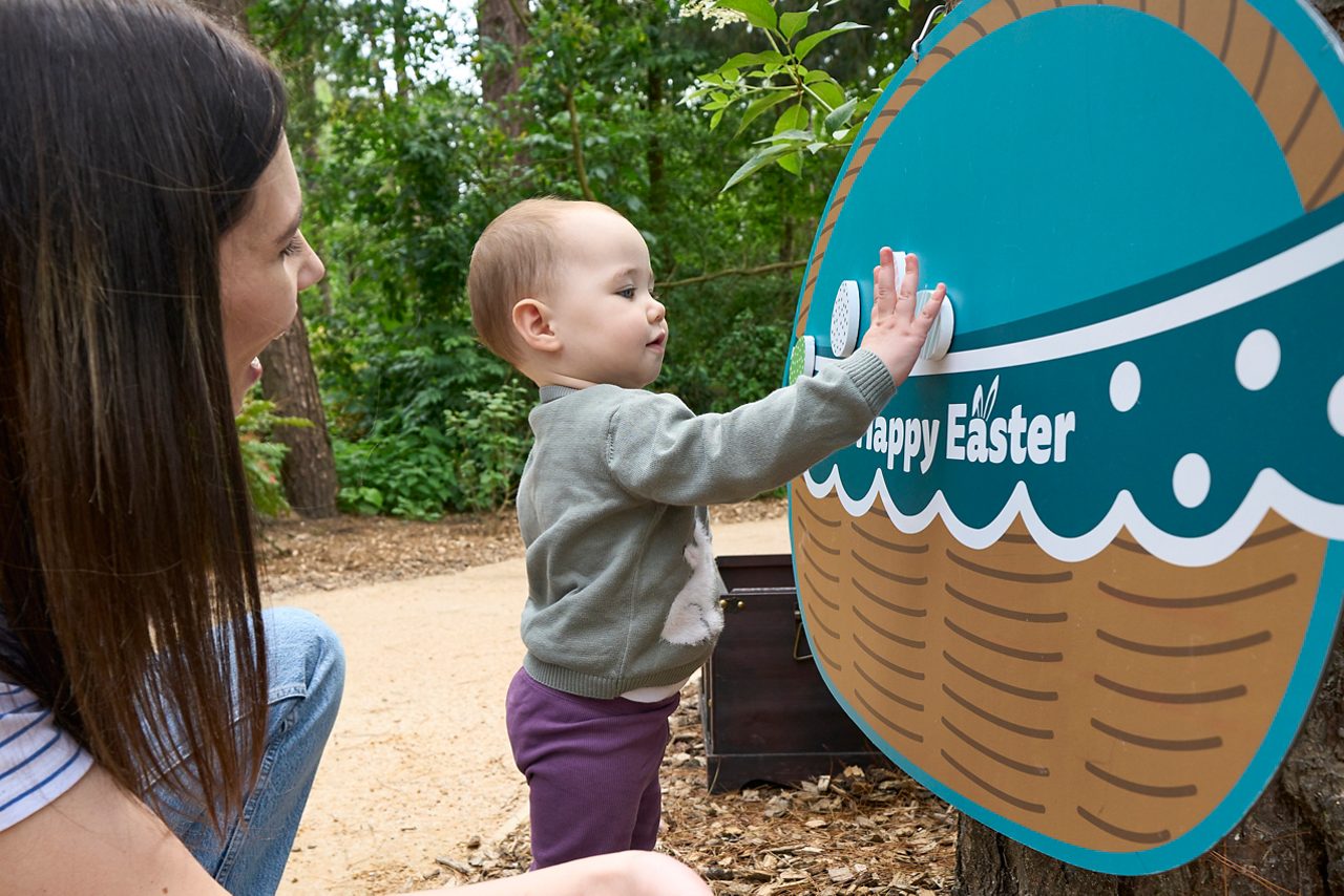Easter egg hunt.