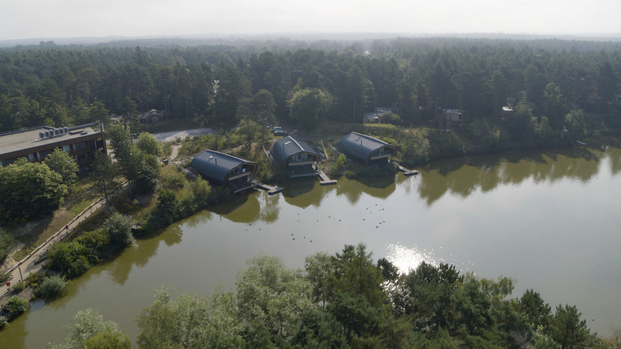 Elveden Forest